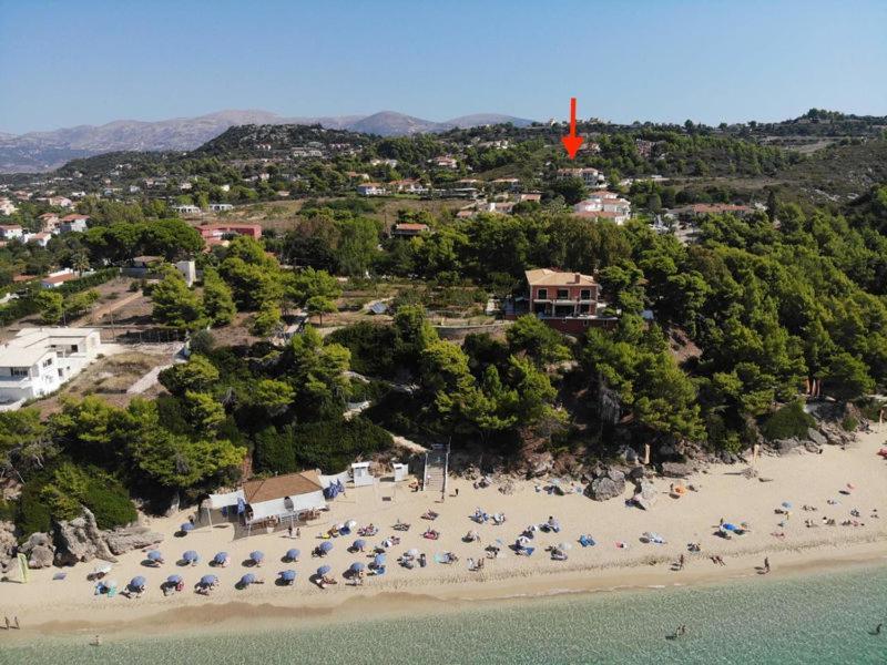 Anna'S Studios Argostoli  Eksteriør bilde